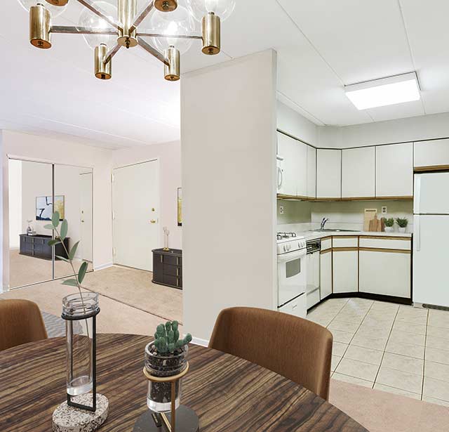 柏苑一号公寓室内客厅及厨房